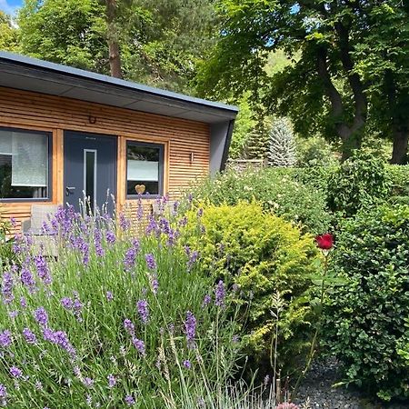 Das Ferienhaus Am Tiergarten Villa Wernigerode Esterno foto