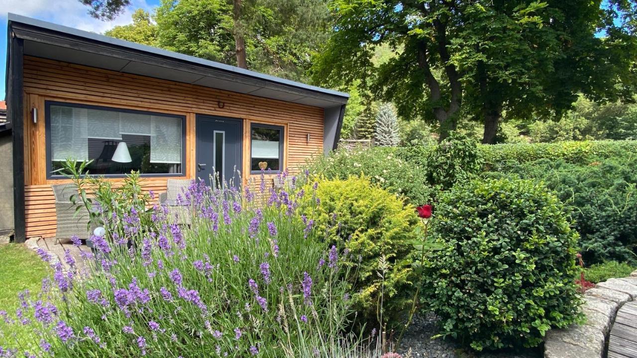 Das Ferienhaus Am Tiergarten Villa Wernigerode Esterno foto